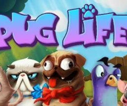 Pug Life