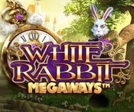 White Rabbit