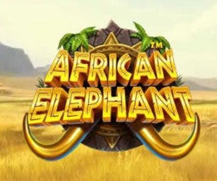 African Elephant
