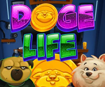 Doge Life