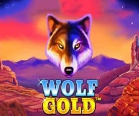 Wolf Gold