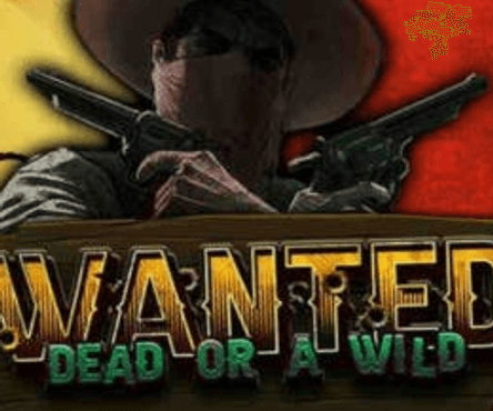 Wanted Dead or a Wild