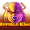Buffalo King