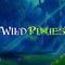 WIld Pixies