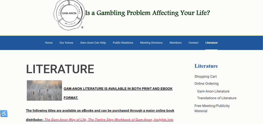 Gam-Anon literature section header image