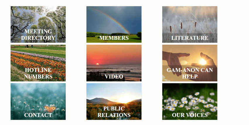 Gam-Anon resource categories grid with meeting, hotline, and literature icons