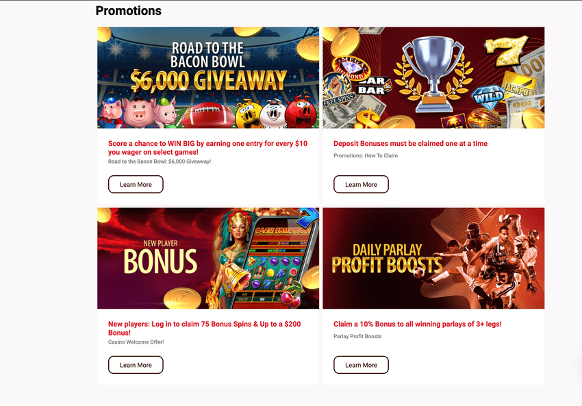 Screenshot of Four Winds online casino Michigan promotions section