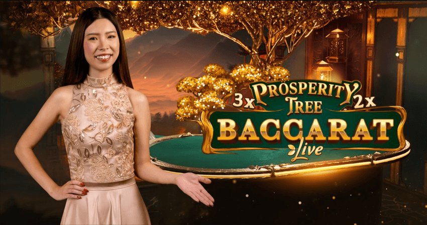 BetMGM Prosperity Tree Baccarat – Live Casino in Michigan BetMGM Prosperity Tree Baccarat table in Michigan showing fast live dealer gameplay